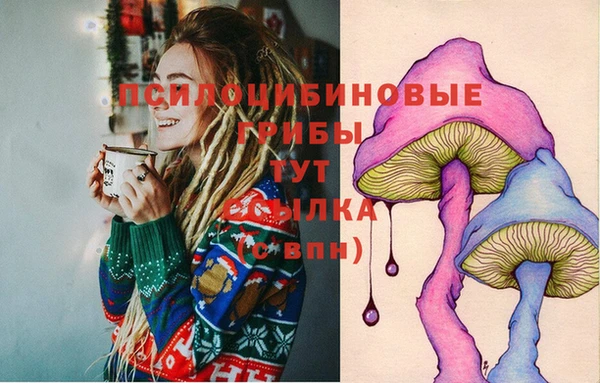 тгк Няндома