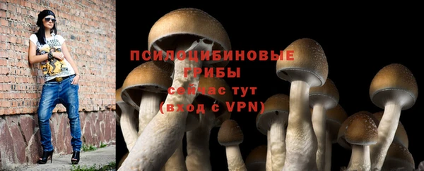 тгк Няндома