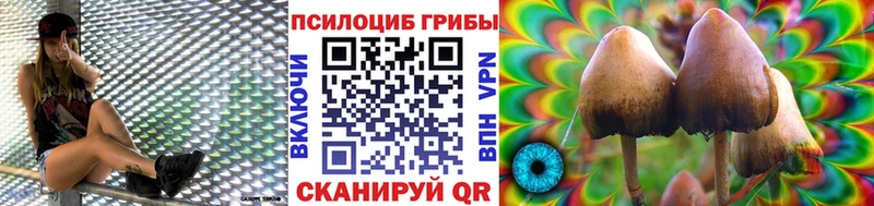 Псилоцибиновые грибы Psilocybine cubensis  Купить закладки  Суджа 